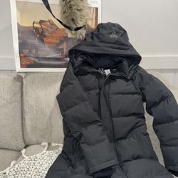 Aritzia The Powder Parka