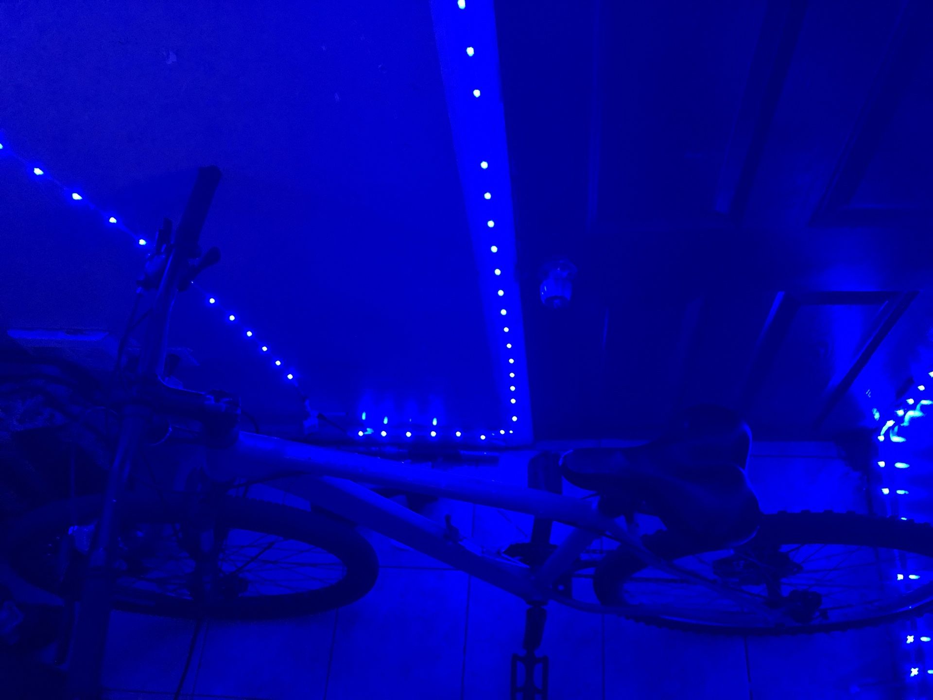 Reid Mountain Bike