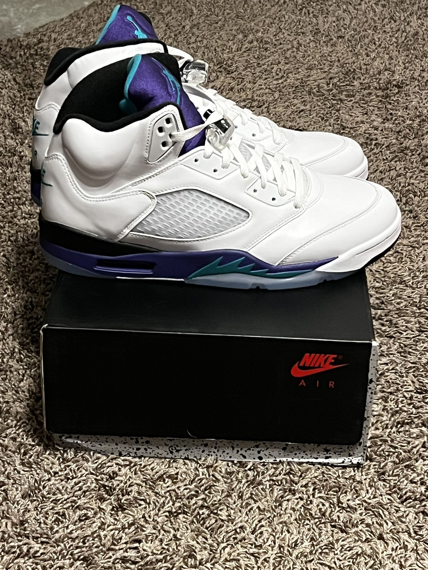 Jordan 5 Grapes
