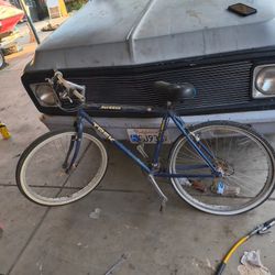 Jetta Trek Limited Edition 