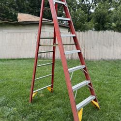 8ft Latter