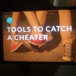 Catch A Cheater 