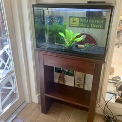 Fish Tank and Custom Stand