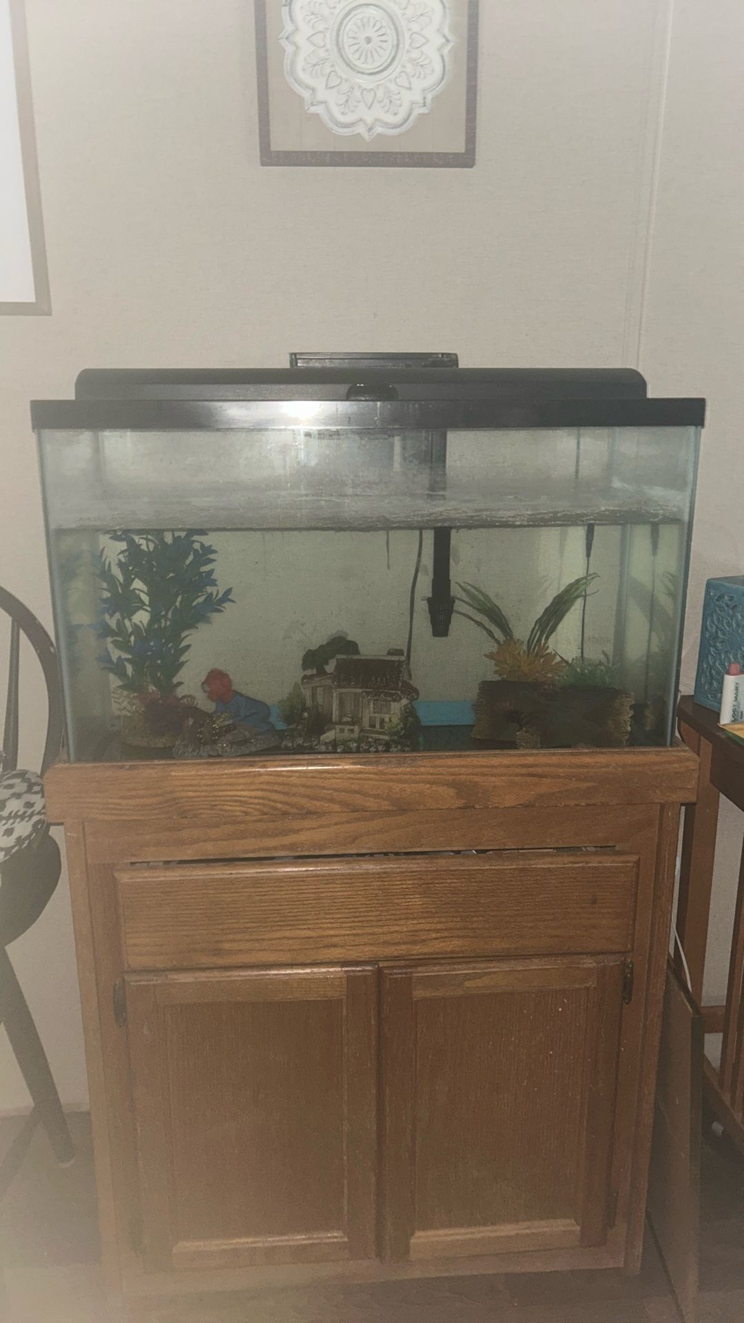 Fish Tank 
