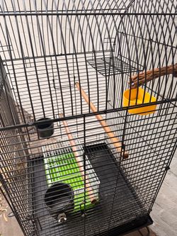 Bird cage - good condition