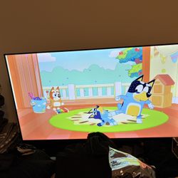43” TV Vizio