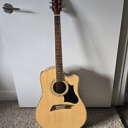 Vinci guitar and case 