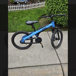 Segway Ninebot 18" Kids Bike Ages 5-10