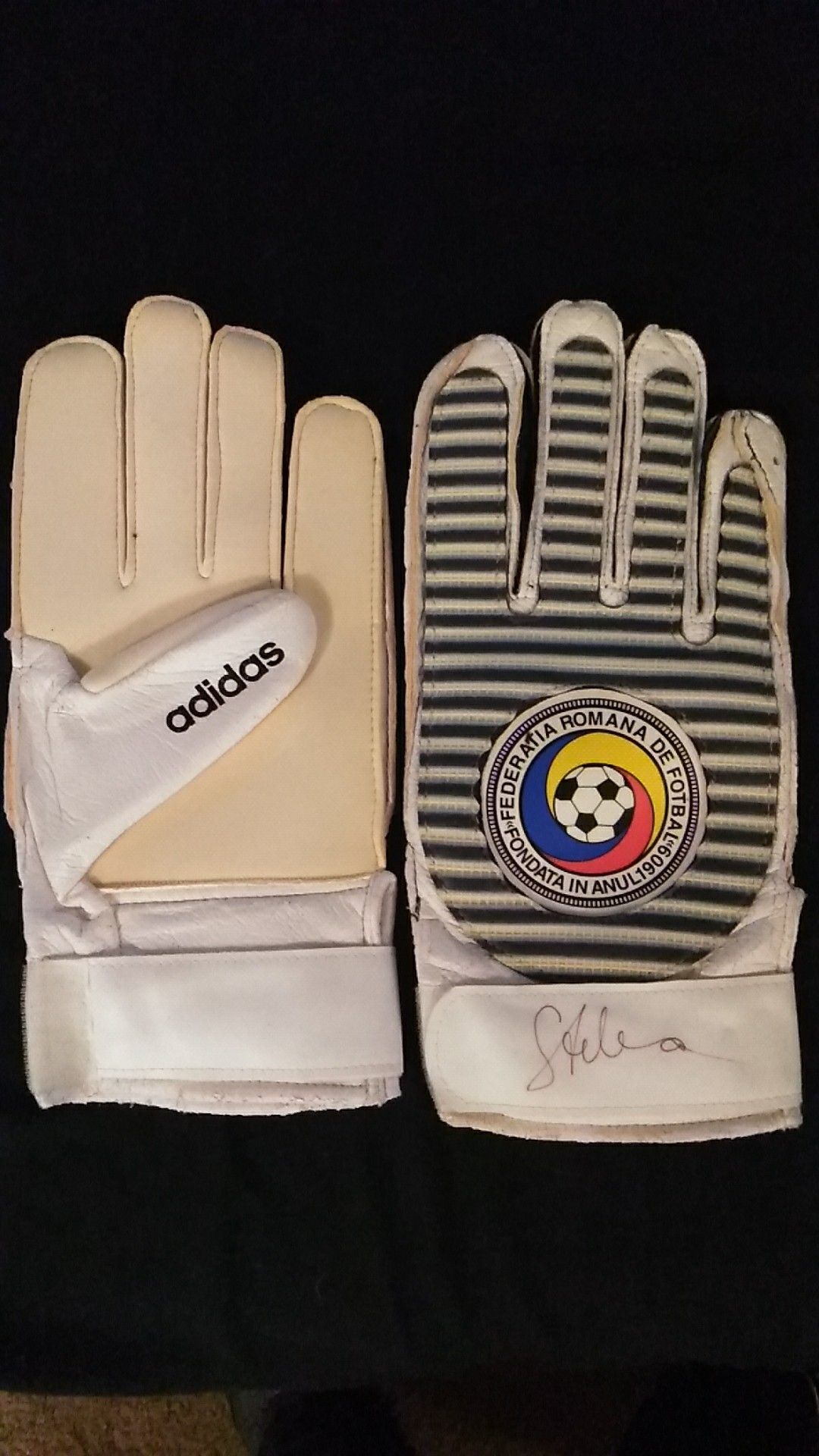 Soccer world cup signed goalie mitts