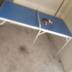 Pingpong table and set
