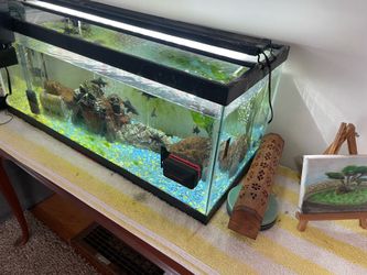 20 gallon tank aquarium with accessories
