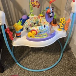 Fisher Price Animal Activity Jumperoo