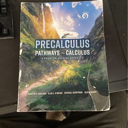 Precalculus Pathways To Calculus 