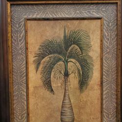 Picture of plant by Simonetto