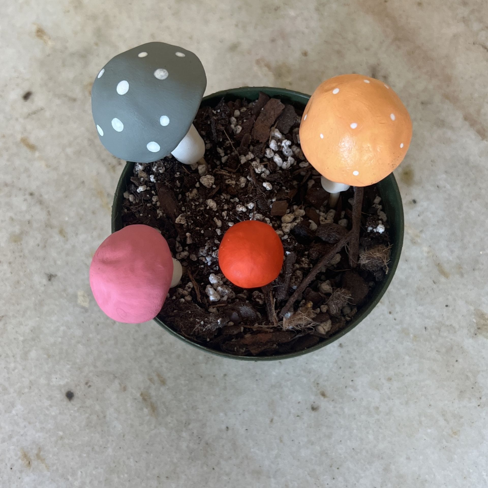 Decorative Mushrooms For Plants