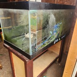 40 Gallon Aquarium And Stand