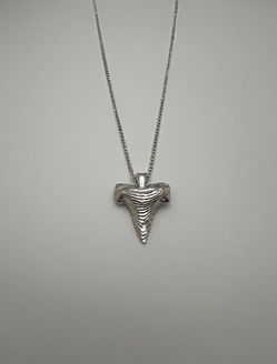 Silver Shark Tooth Necklace