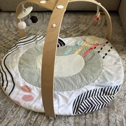 Skip Hop Baby Play Gym 