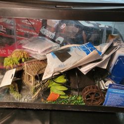 20gal Fish Tank