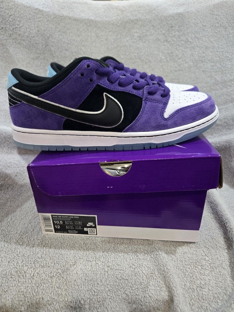 Size 10.5 Haley Wilson x Nike Dunk SB Low Court Purple HJ0513-500 New Sold Out