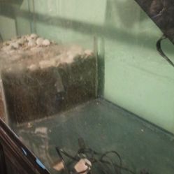 Fish Or Reptile Tank 