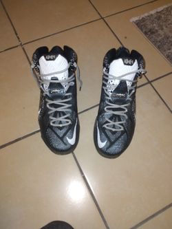 Lebron James Shoes Sz 11
