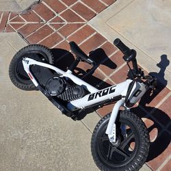 Broc USA 12 inch Balance E Bike