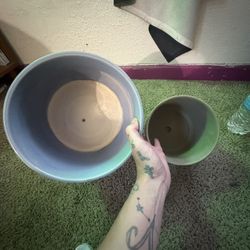 ceramic plant pots 