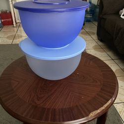Tupperware Each