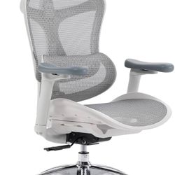 SIHOO Doro C300 Ergonomic Office Chair with Ultra Soft 3D Armrests, Dynamic Lumbar Support for Home Office Chair, Adjustable Backrest Desk Chair, Swiv