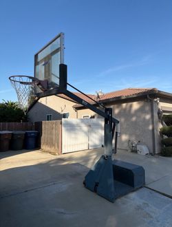 Bison court