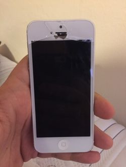 iPhone 5
