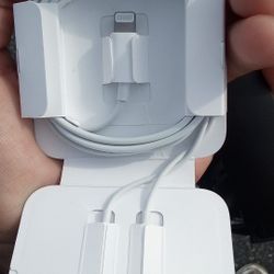 Iphone Earbuds 