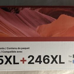 245 XL-246 XL High Capacity for Canon 245XL 246XL Combo Pack Replacement for Canon Ink 245 and 246 Work with Pixma TS202 TR4520 MG2525 TS3322 TS332