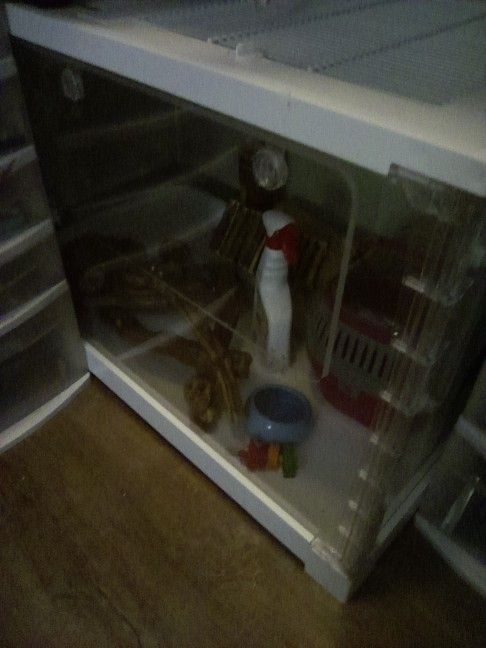 Hamster / Gerbil / Guinea Pig Tank With Much More