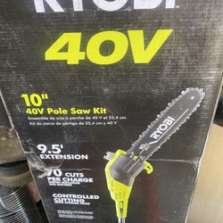 Ryobi 40v Pole saw 