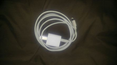 Original iPhone charger