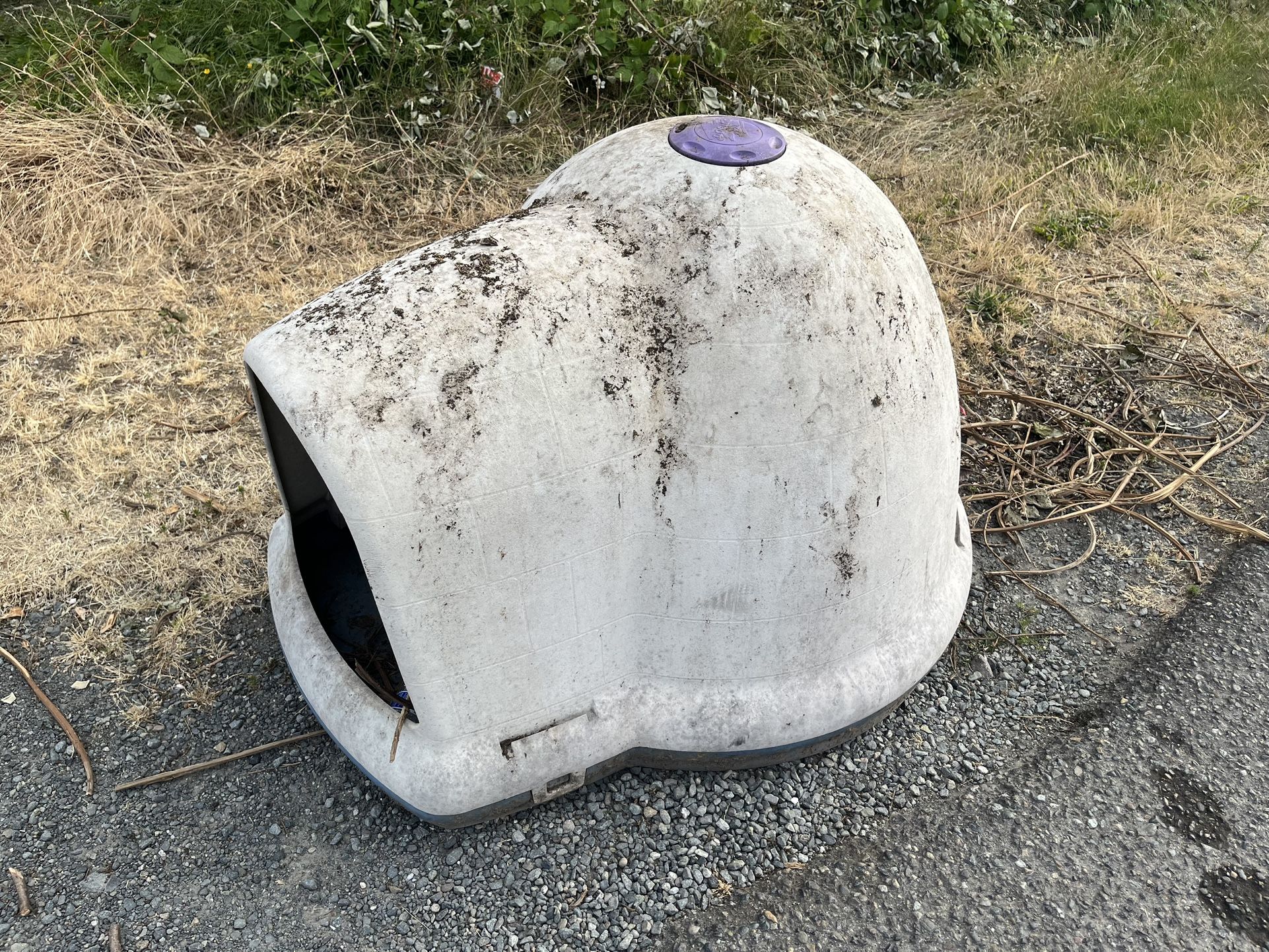 Free Dog House