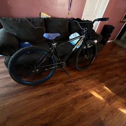 29er throne bike