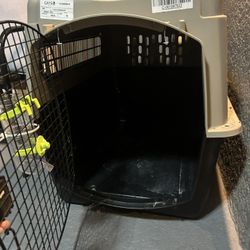 Large Dog Kennel