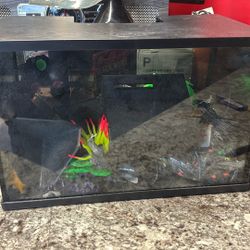 Complete Glow Fish Tank 