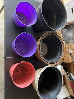 6- Flower Pots