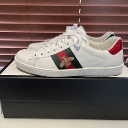 Gucci Ace Shoes 