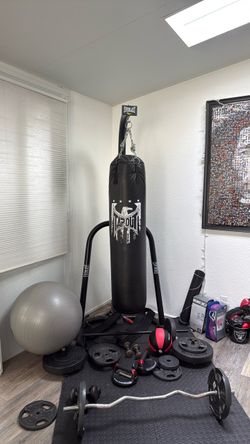 Heavy bag with stand