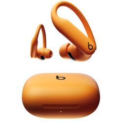 Beats Powerbeats Pro 2 Wireless Bluetooth Earbuds