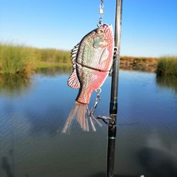 Brand new swim bait for bass , Stripers and more