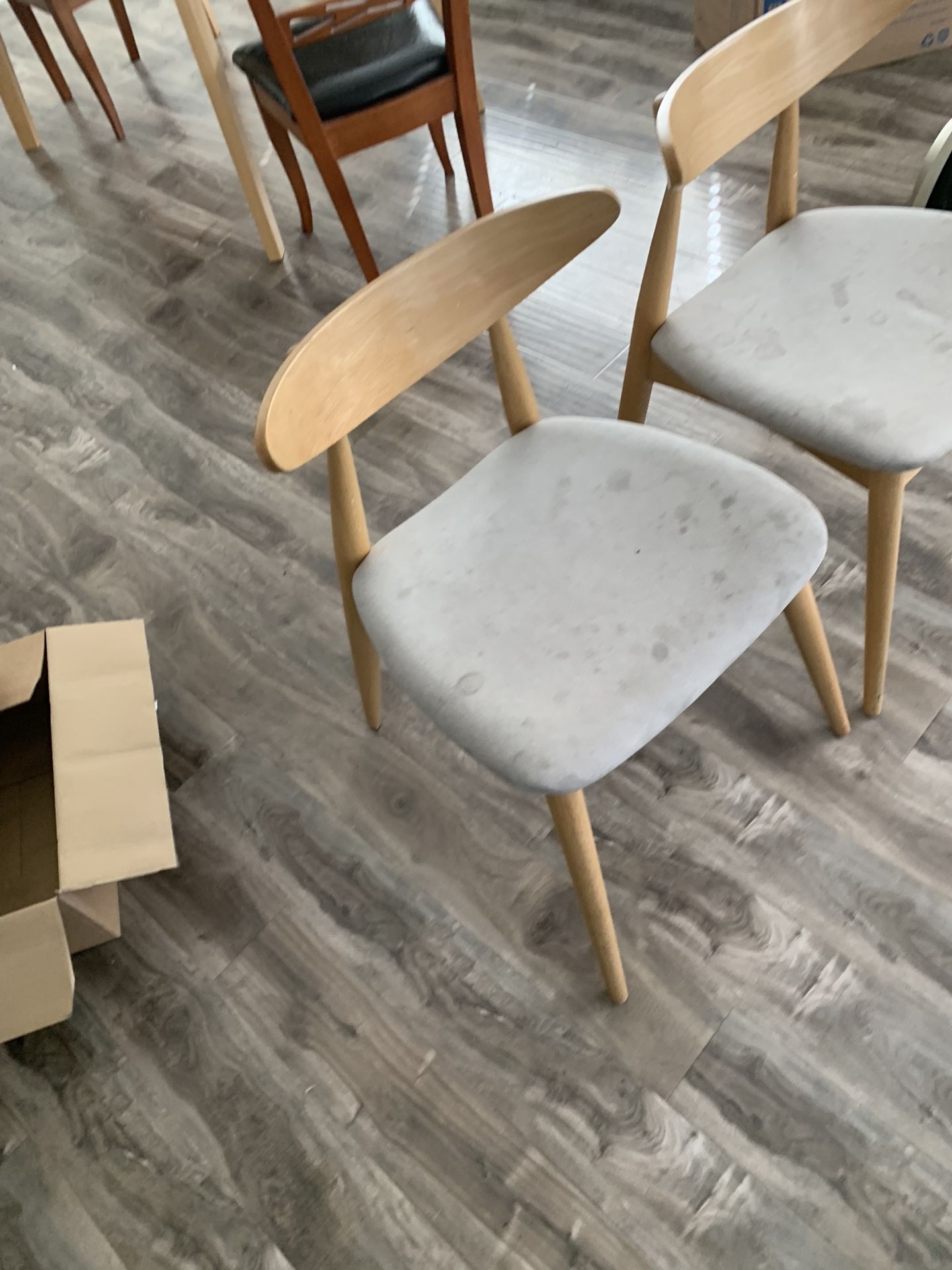 Two Mid Century Modern Dining Chairs