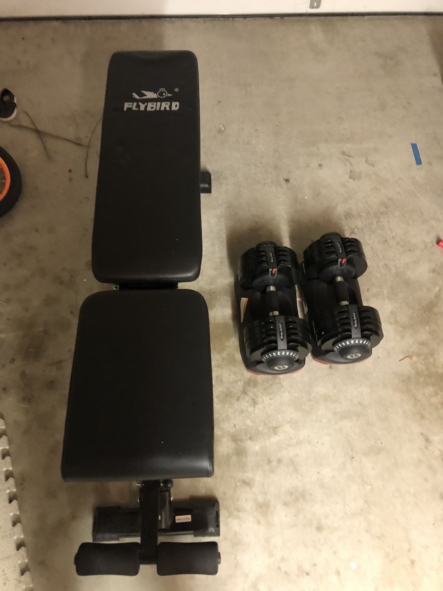 Weights and Bench
