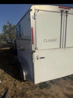 Transportamos caballos locales