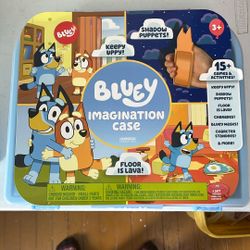 Bluey Imagination Case